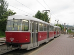 8564